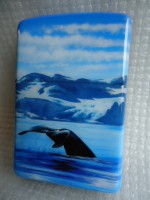 /album/galerie-de-photos-zippo-mazzi-peint/artic-simphony-92-2002-jpg1/